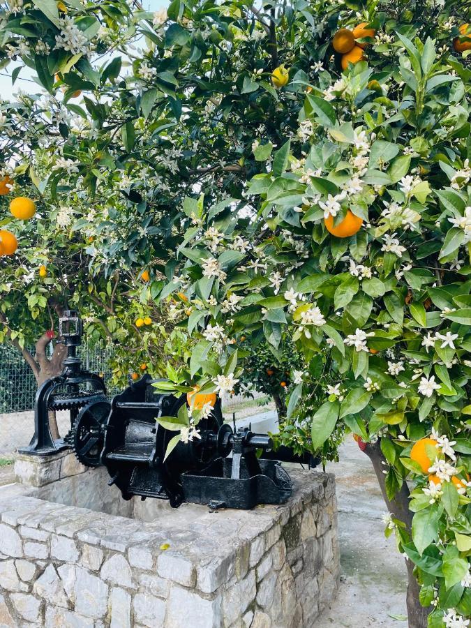 הוילה Epidaurus Citrus Garden מראה חיצוני תמונה