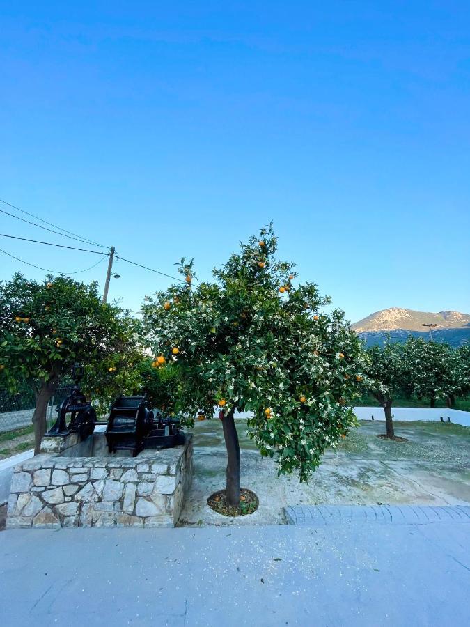 הוילה Epidaurus Citrus Garden מראה חיצוני תמונה