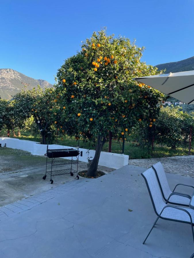 הוילה Epidaurus Citrus Garden מראה חיצוני תמונה