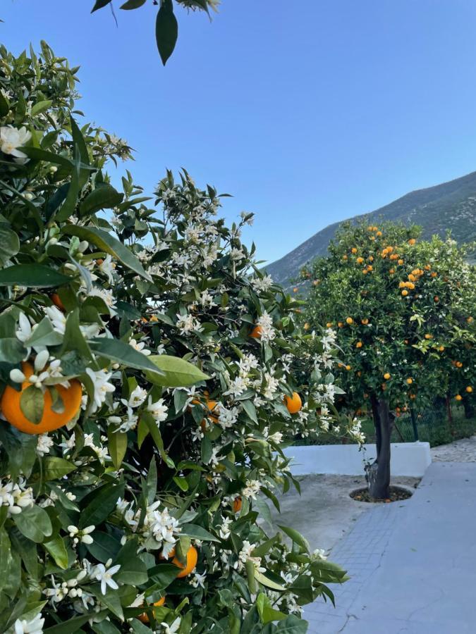 הוילה Epidaurus Citrus Garden מראה חיצוני תמונה
