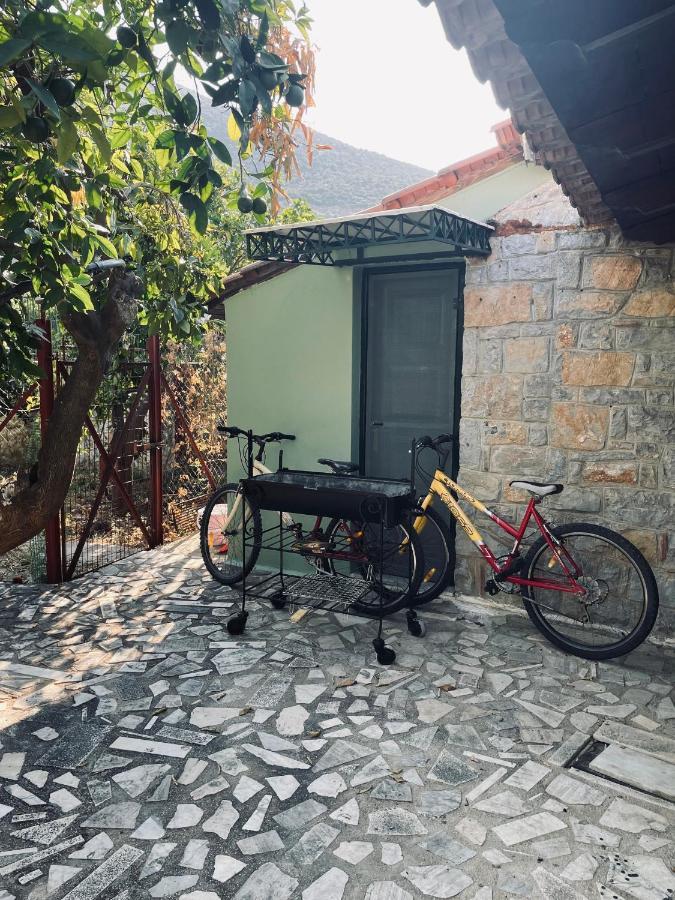 הוילה Epidaurus Citrus Garden מראה חיצוני תמונה